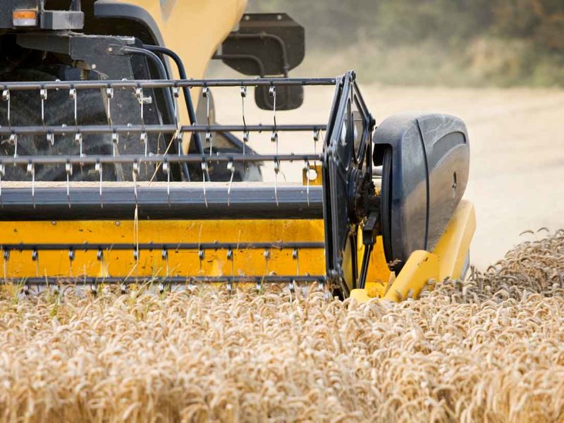 agriculture.jpg agriculture.jpg